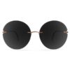 Женские солнцезащитные очки Silhouette 8190 SG