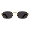 Солнцезащитные очки Cartier CT0362S