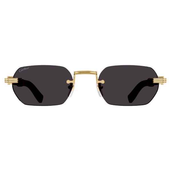 Солнцезащитные очки Cartier CT0362S