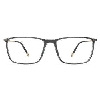 Мужские оправы для очков Silhouette 2944/75