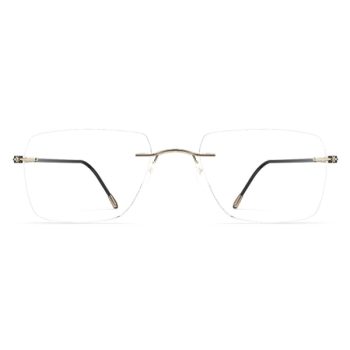 Мужские оправы для очков Silhouette 5569/DN