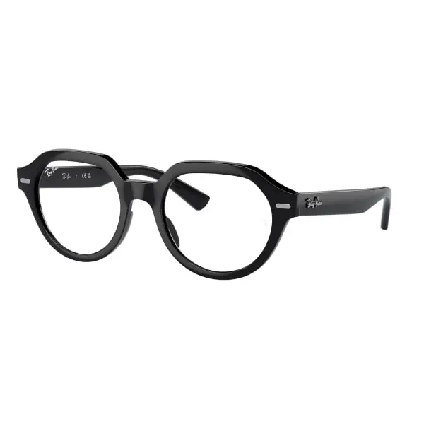 Оправы для очков Ray Ban RX7214