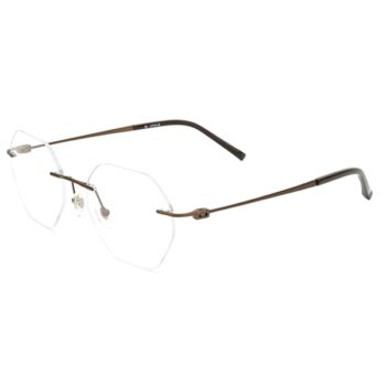 Оправы для очков Blancia BC347