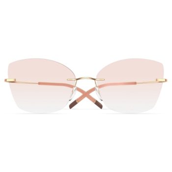 Женские оправы для очков Silhouette 5541/MH