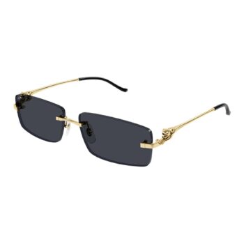 Солнцезащитные очки Cartier CT0430S