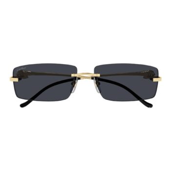 Солнцезащитные очки Cartier CT0430S