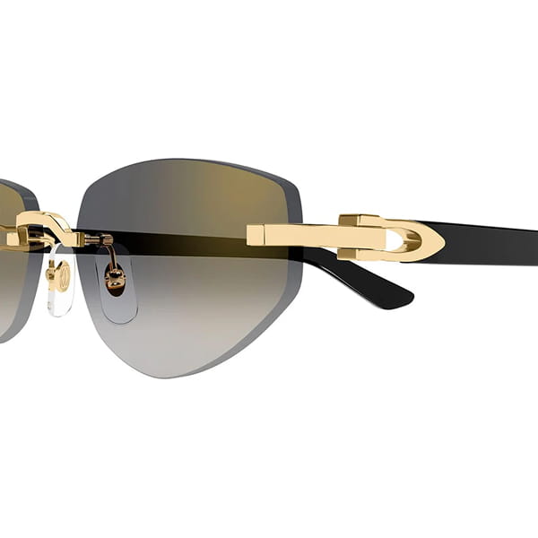 Женские солнцезащитные очки Cartier CT0580S