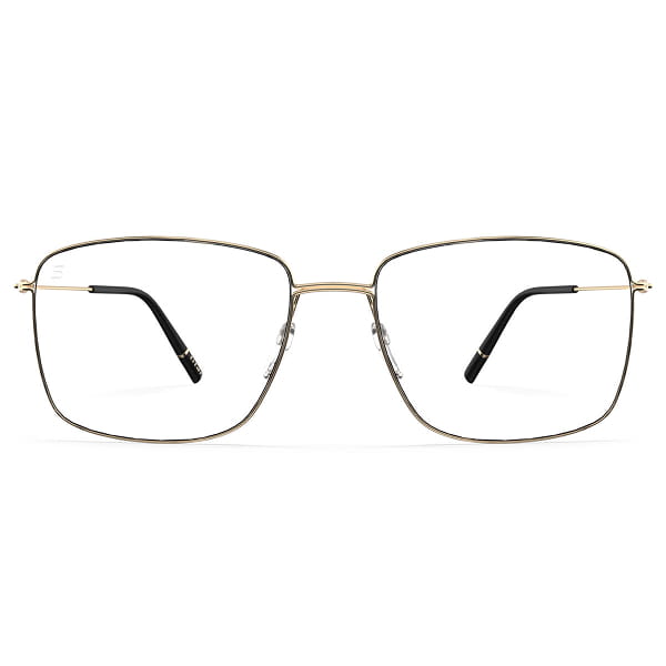 Мужские оправы для очков Silhouette 5576/75