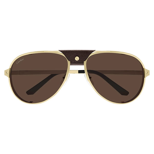 Мужские солнцезащитные очки Cartier CT0296S