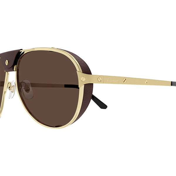 Мужские солнцезащитные очки Cartier CT0296S