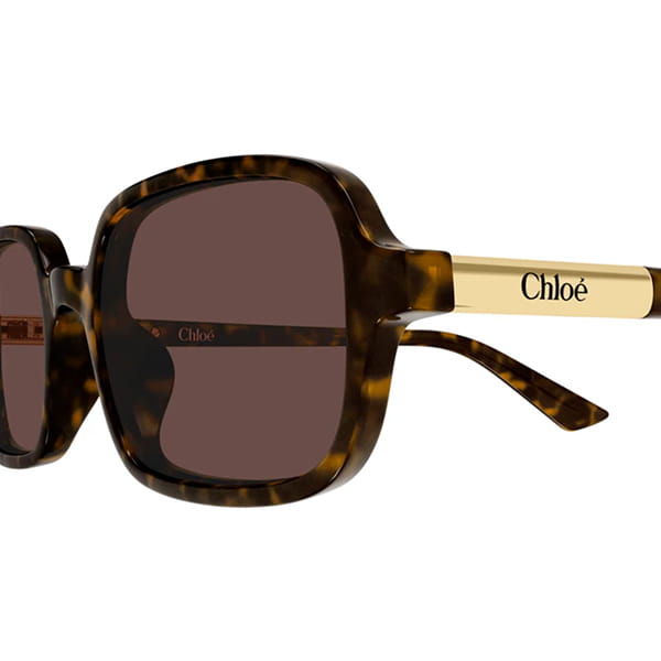 Женские солнцезащитные очки Chloe CH0363S