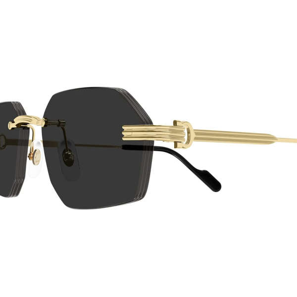 Солнцезащитные очки Cartier CT0616S