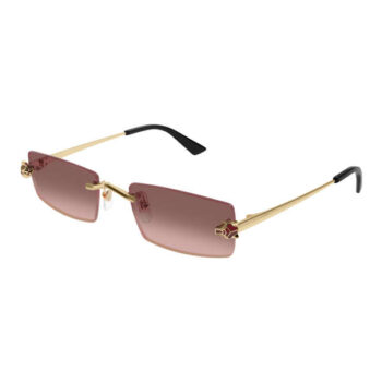 Солнцезащитные очки Cartier CT0598S